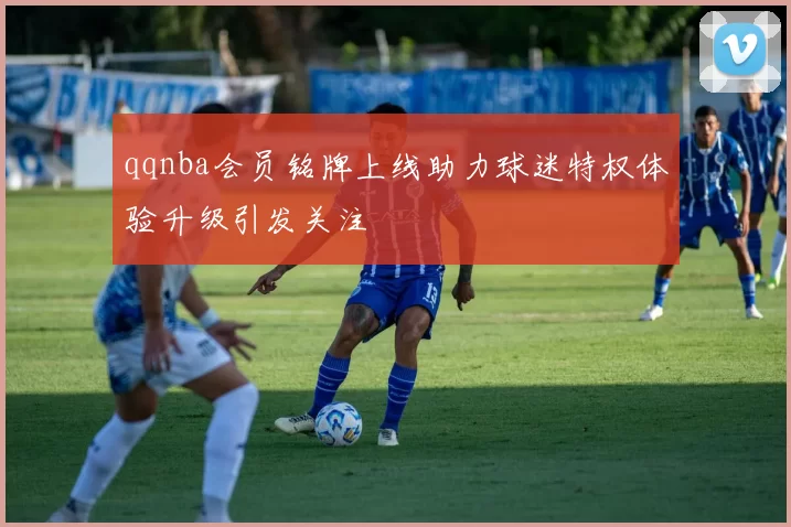 qqnba会员铭牌上线助力球迷特权体验升级引发关注