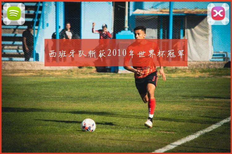 西班牙队斩获2010年世界杯冠军
